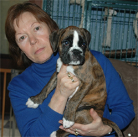 Boxerzwinger vom Asseblick - Bild