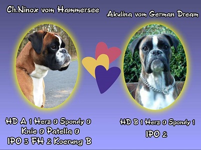 Ninox und Akulina