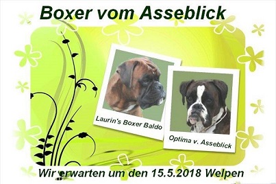 Baldo und Optima