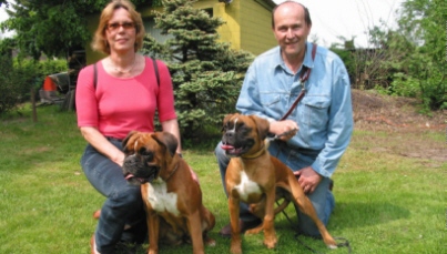Boxerzwinger vom Asseblick - Bild